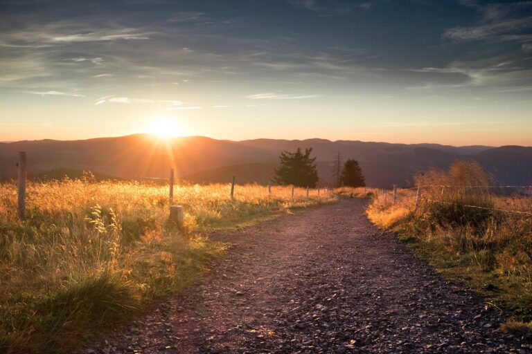 Catching the early sun as an early bird on top of Belchen Mountain, Black Forest, Germany.